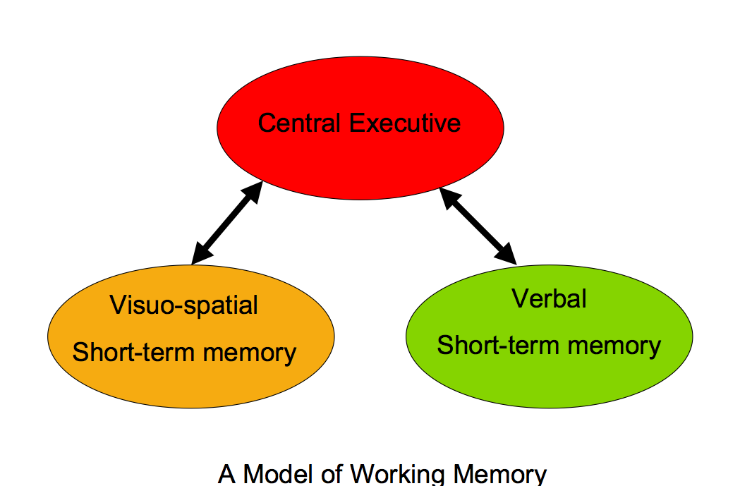 Working memory